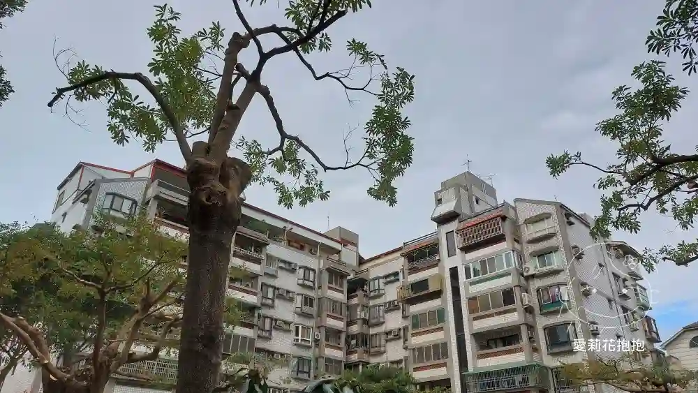 立德公園抬頭看名人金邸